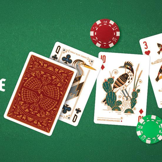 Карты для покера «Птица в руке» Тема «Птицы Северной Америки» Колода карт Детские Взрослые Семейный вечер Многопользовательская Интерактивная Классическая Карточная Настольная Игра