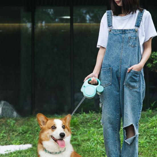 Выдвижной поводок для собак с эргономичной ручкой, пояс для прогулок с защитой от спутывания, фонариком и дозатором пакетов для фекалий для средних и маленьких собак