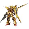 RG Mobile Suit Gundam SEED DESTINY Akatsuki Gundam (with Steller's Sea Eagle) 1/144 Scale Pre-Colored Plastic Model