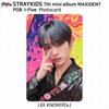 Stray Kids 7-й мини-альбом Maxident POB Photocard Aladin JYP Soundwave MK ifive