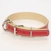 Petio Collar Grande Double Stitch Collar Red For Large Dogs L Size