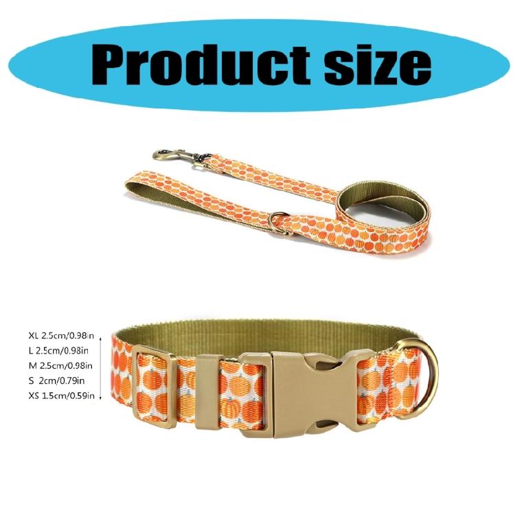 Cats Collar and Leash Set for Training Walking Belt for Large Medium Small Cats