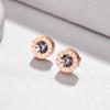 Trendy Geometric Circular Zircon Crystal Roman Numerals Stud Earrings for Women Vintage Style Stainless Steel Earring Jewelry