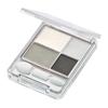 Gradient Eye Shadow 06 Gray