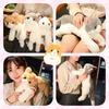 Realistic Grey Cat Plush Toy, 50cm, Large, Fluffy, Soft, Lifelike, Cute, Christmas, Bedding, Plush Toy, Huggable Pillow, Popular, Birthday Present,
