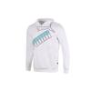 Puma Sports Casual Colorblock Logo Print Hooded Knit Sweatshirt Men Tops White 588667-02