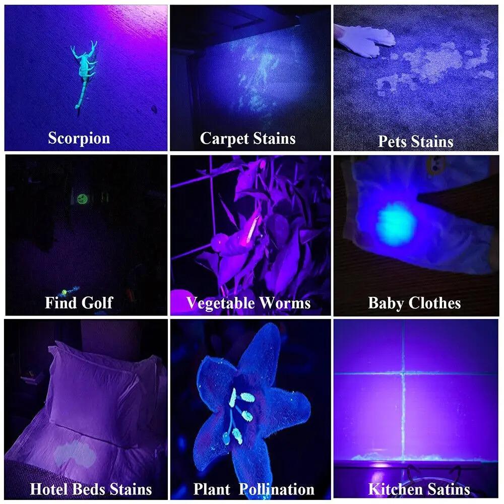 395 нм УФ-фонарик Blacklight Zoomable USB перезаряжаемый УФ-свет Ультрафиолетовый фонарик для детектора мочи домашних животных Отверждение смолы