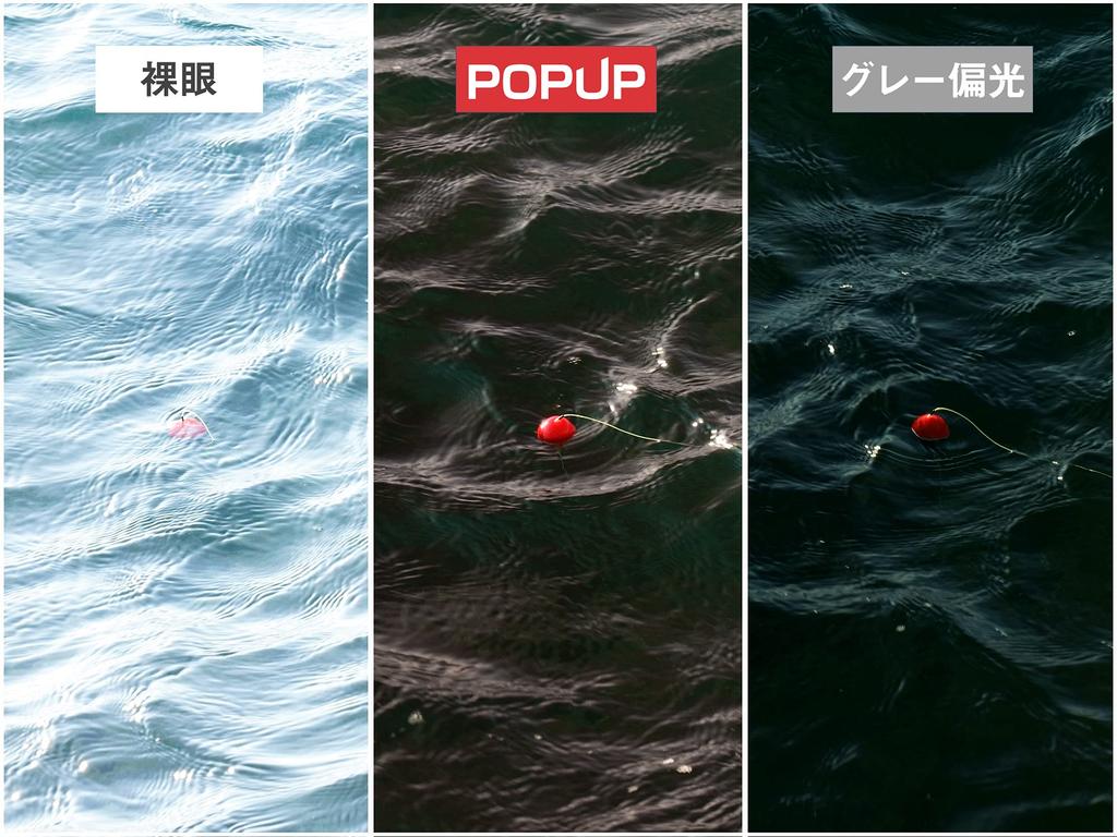 Солнцезащитные очки Bunny Walk Поляризованные Матовые Черные Прозрачные Оливковые линзы BW-025 BW-0251C & HC-BROWN Pop-Up