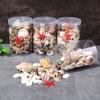 Aquarium Ornaments DIY Fish for Tank Decorations Mixed Seashells Sea Snail Coral Starfish Various Sizes Up To 2.4" 55KF