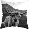 Scottish Highland Cow Yak Animal Doublesided Printed pillow cover Short plush Suitable living rooms sofas throw cushion cover