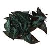 Plastic Fish Tank Plants Green Reptile Climbing Plant Leaves Ornaments Habitat Decor  Fish Tank