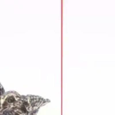 1 шт. Антикварные Медные Украшения Ветви Сливы Сороки Креативный Держатель для Благовоний Украшения для Домашнего Офисного Стола Аксессуары