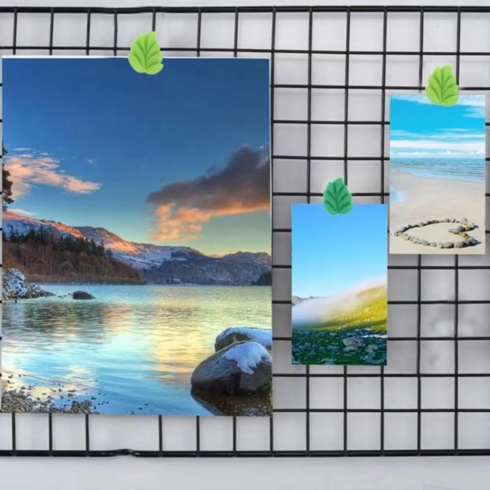 Botanical Leaf Push Pins Leaf Shaped Pushpins New Plant Thumb Tacks Bulletin Board