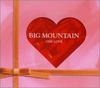 CD BIG MOUNTAIN - ONE LOVE PCCY01489PROMO Canyon Internat 2001 Япония ОбиРегги, Ска и Даб Б/у