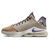 Мужские кроссовки LeBron 19 Low Safari Tan DM1058-200