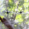 Halloween Spider Cotton Bar KTV Decoration Supplies Ghost Festival Scene Decoration Props Spider Web Spider Silk