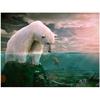 Diy Diamond Painting White Bear and Fish Diamond Embroidery Cross Stitch Rhinestone Home Decoration