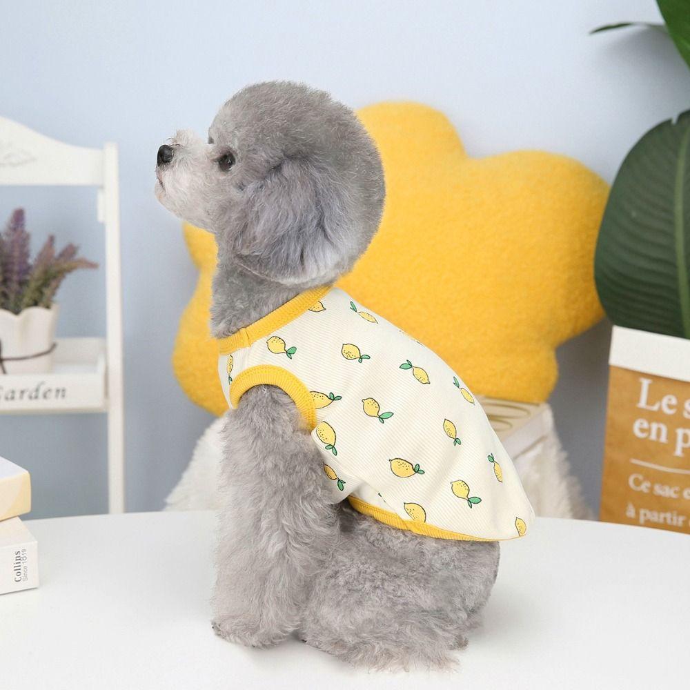 Cute Dog Clothes Soft Pet Shirt Pet Clothing Pet T-shirt Kittens