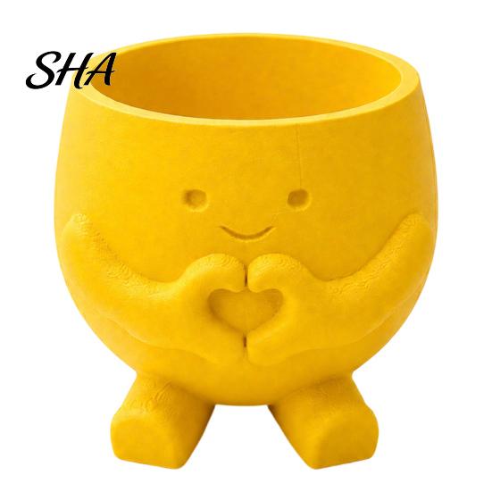 Gift for Plant Lovers 3D Printed Cute Smile Pots, Succulent Planters Indoor Plants, Office Desk Ornament Funny Small Flowerpot, Unique Planter