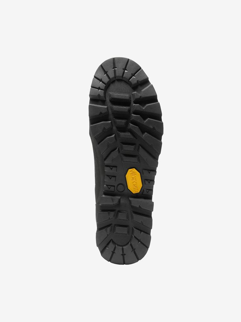 The North Face TNF Rain Low GORE-TEX (Темная земля/Черный TNF) 29.0 см / США 11