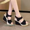 Casual Wedges Shoes for Women Sandals Summer Fish Mouth Slope Heel Ladies Shoes Platform High Heels Designer Sandal Comfort 2024