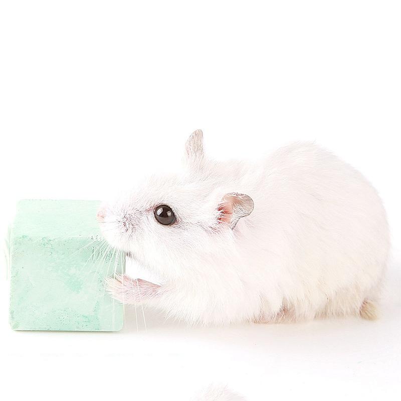 Hamster Teeth Grinding Stone Mineral Calcium Rabbit Rat Squirrel Toys Cube Hang Small Pet Minerals Molar Stone Chew Toys