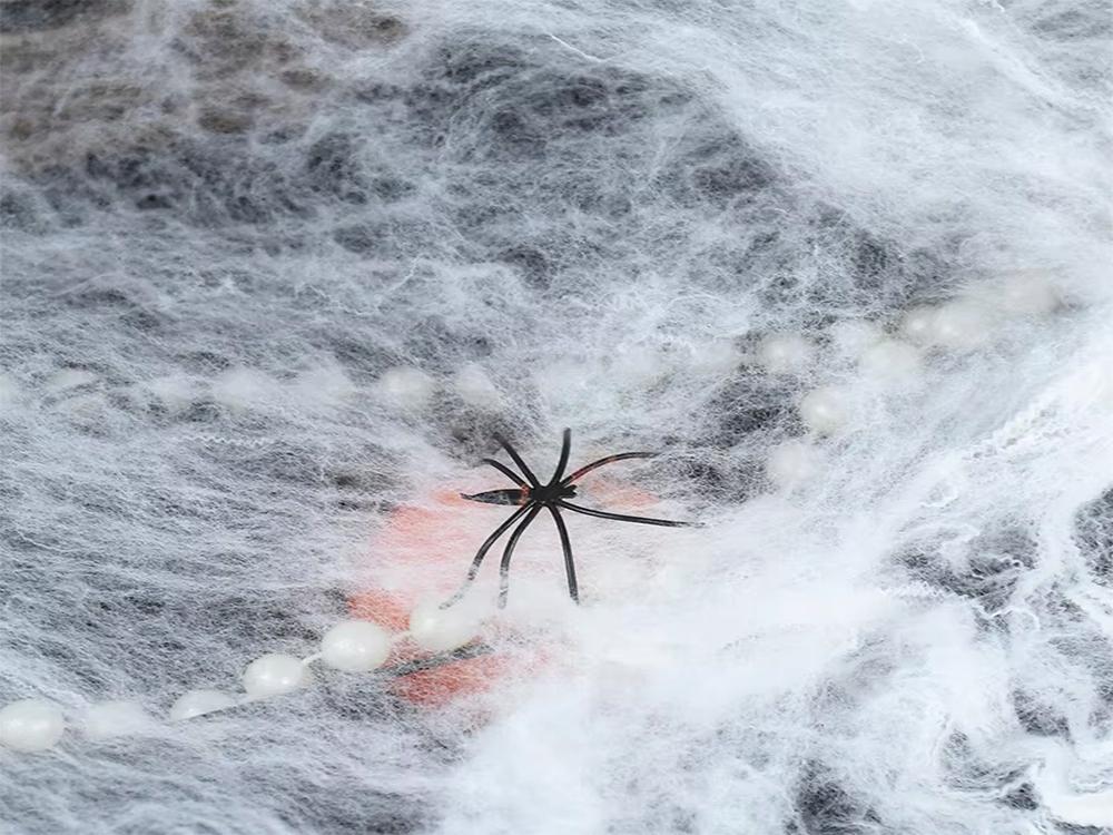Spiderweb 40G 4 Spiders (300) Gab_A
