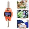 Portable 300Kg Heavy Duty Hanging Hook Scales Stainless Steel Crane Scale Electronic Digital Weight