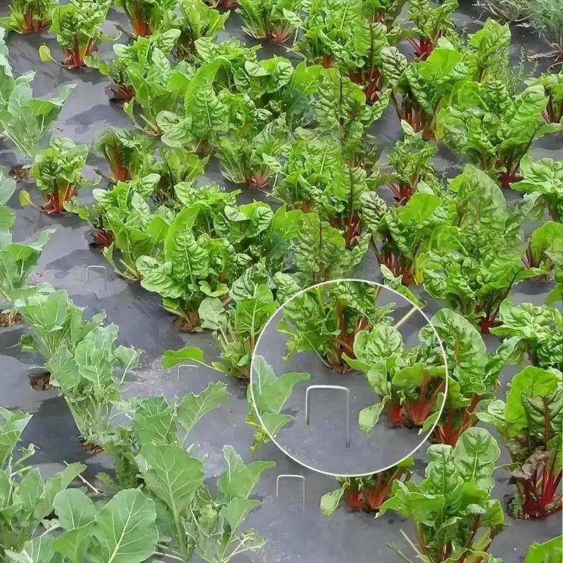 100 шт. Ландшафтные скобы, U-образные садовые колышки, садовые колышки, сверхпрочные колышки для двора, газона, палатки, крепежные колышки для сорняков Ба