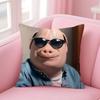 Наволочка John Pork Is Calling Уютная Подушка для Дивана-Кровати Шёлковая Элегантная Невидимая Молния Индивидуальная Декоративная Наволочка