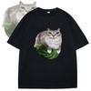 Watermelon Cat Silly Cat Meme T-Shirt A Hilarious Watermelon Summer Print Short Shirt Is A Stylish Unisex Top for Men and Women