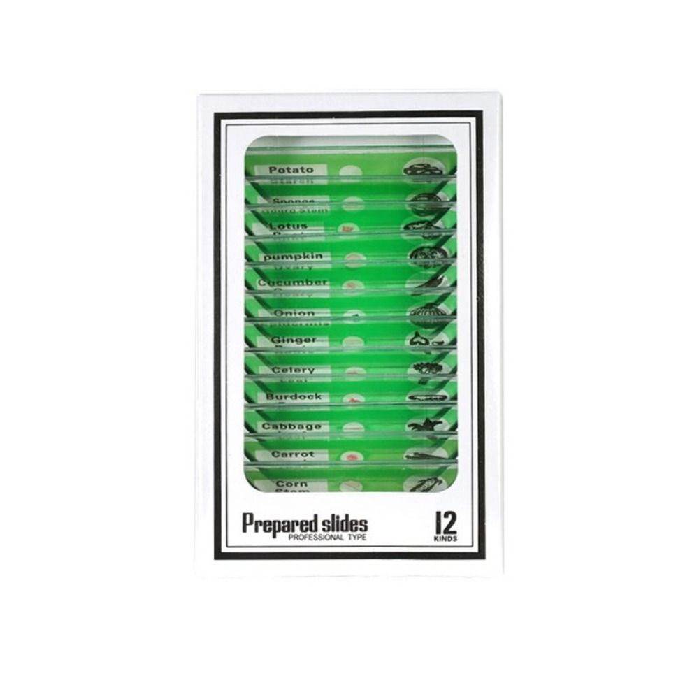 Животные Насекомые Растения Цветы Микроскоп Слайды Студенты Дети