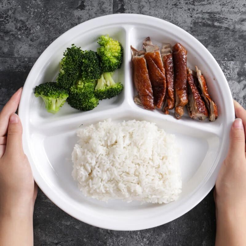 Melamine Divided Canteen Plate