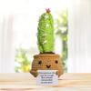 Crocheted Doll Cactus Succulent Doll with Cheer-up Card Tabletop Ornament Positive Crochet Figurine