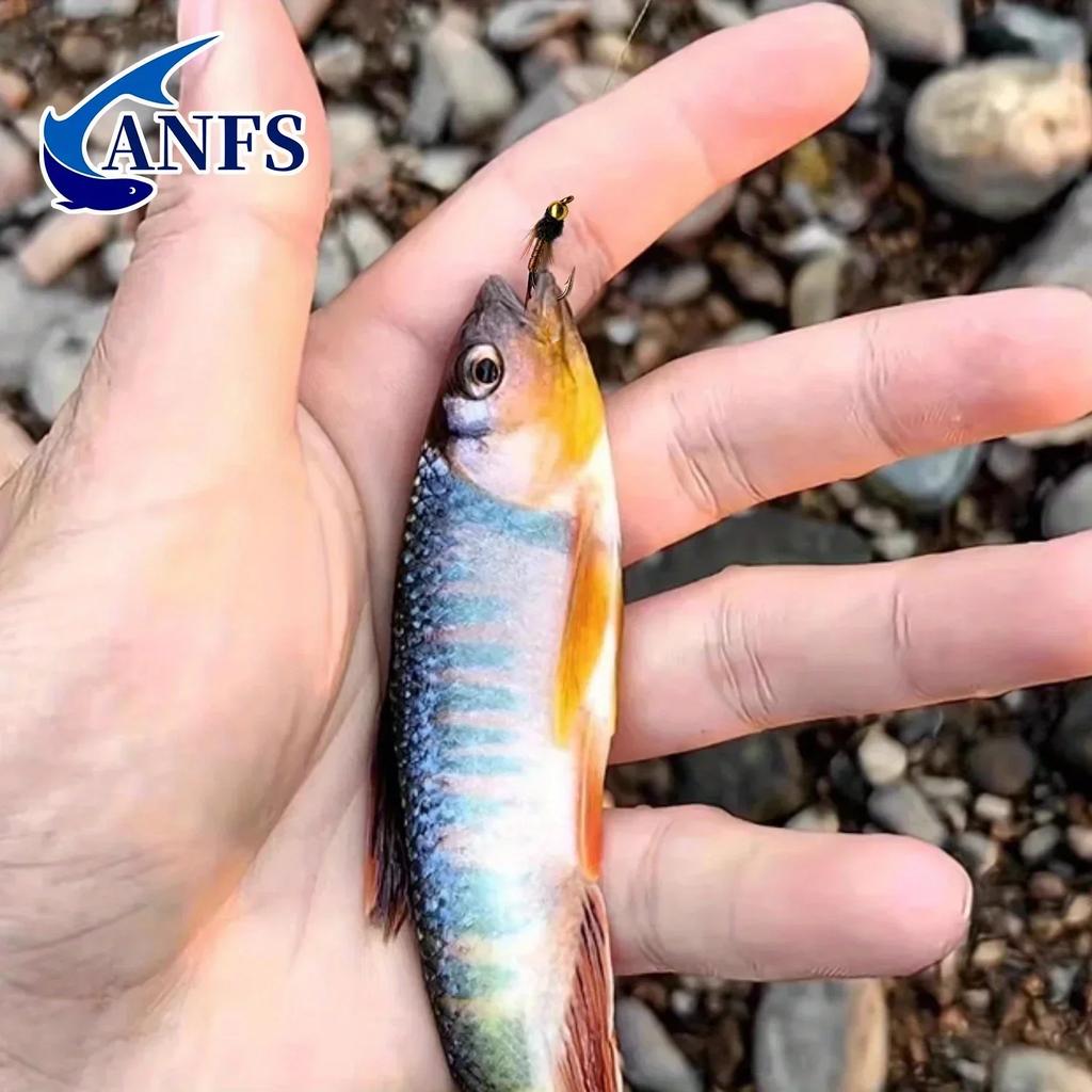 6 шт./коробка Реалистичный дизайн Нимфа Джиг Набор для нахлыстовой рыбалки - Ловля форели Медленно тонущая мушка с вискозой