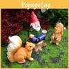 Scene Resin Micro Ornament Dwarf And Squirrel For Garden Decor Display Indoor