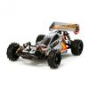 Tamiya 1 10rc Igrless 2013
