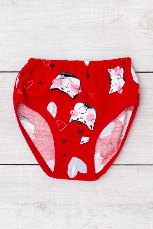 Panties (Girls) Any Season 272-002V HC