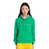 Champion Gradient Grass Stitched Logo Fleece Lined , US Version , Winter Sweatshirt Unisex Green (Unisex) Sweatshirts GF89H Y08126