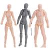 Action Toy Human Postures Man and Woman Figure Model Action Figure Drawing Figures Human Mannequin
