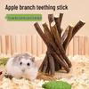 Newcomer: Edible Apple Branch Chew Sticks for Hamsters - Special Snacks for Golden Hamsters (2 Bags)