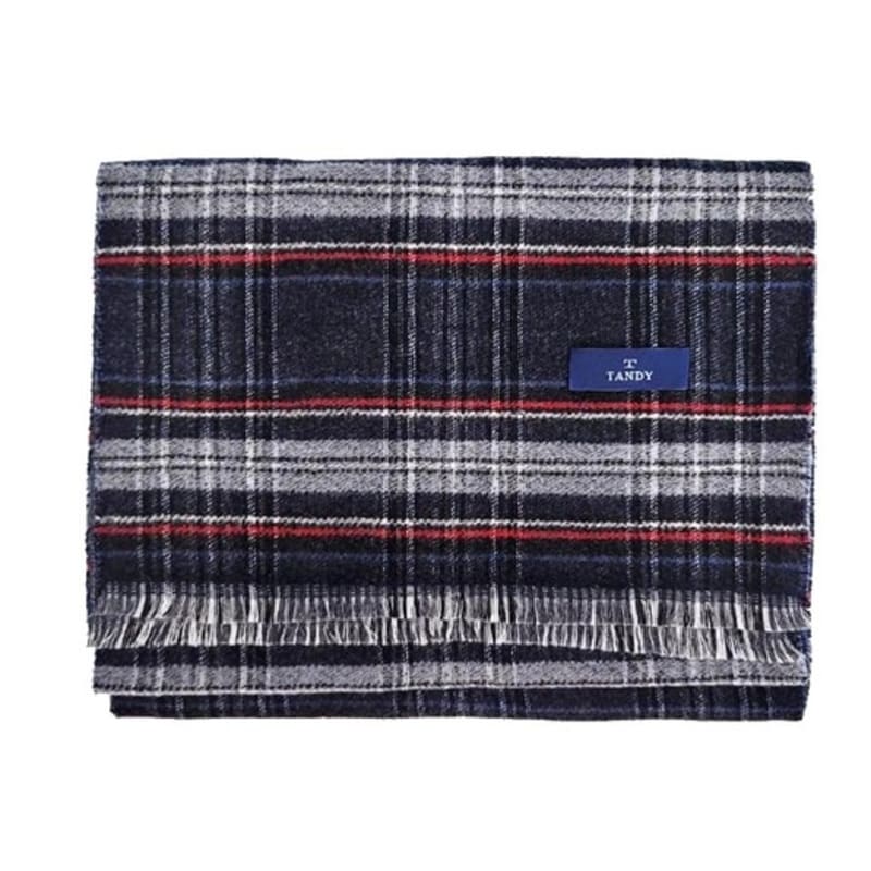 TANDY Фантазийный клетчатый шарф LMTD3010