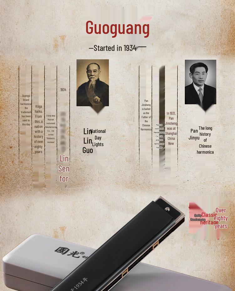 Набор губных гармоник Guoguang на 24 отверстия: От начального до профессионального уровня, Двойная трость, 12 клапанов, Подходит для всех возрастов.