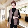 Granular Fleece Vest Vest Women's Fur One-piece Outer Wear Autumn and Winter Western Style Fashion Vest Outer Wear