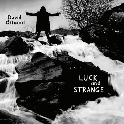 Виниловая пластинка DAVID GILMOUR - Luck And Strange 19802804611 Sony Music 2024 Европа Рок