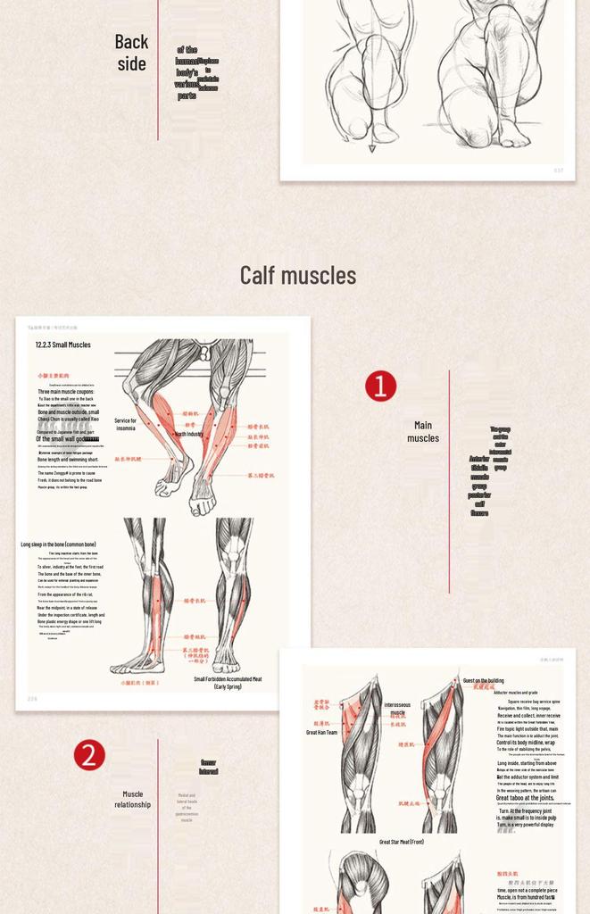 Полное руководство по анатомии человека: Справочник по рисованию и скетчингу для начинающих