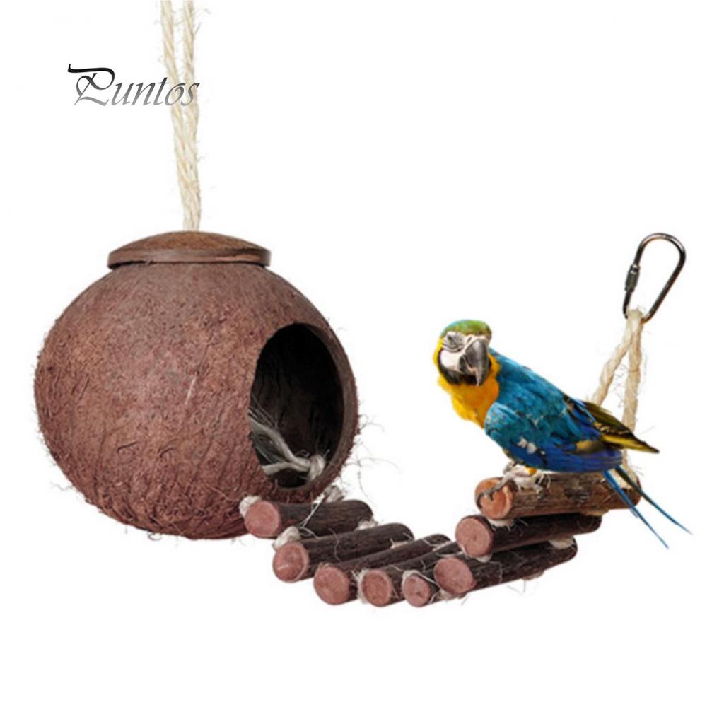 Natural Coconut Shell Parrot Nest Parakeet Birds Feeder Pets Toy with Ladder