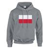 Sweat à capuche - PIXELFORMA - Drapeau de la Pologne - Gris - Длинные манши - Col capuche