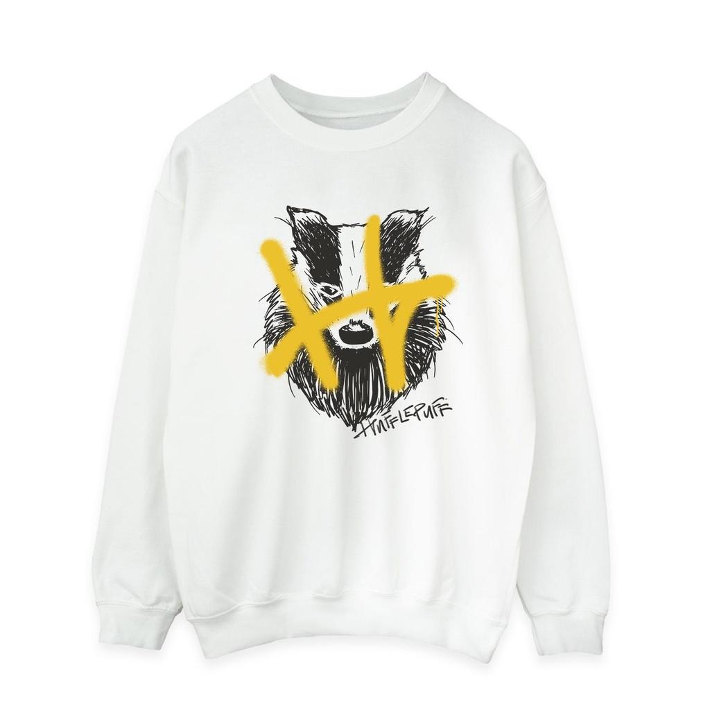 Harry Potter Mens Hufflepuff Pop Spray Sweatshirt