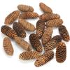 Christmas Natural Pinecone Ornaments Big Spruce Pine Cones for Autumn and Winter Decor Christmas Decorations 10pcs